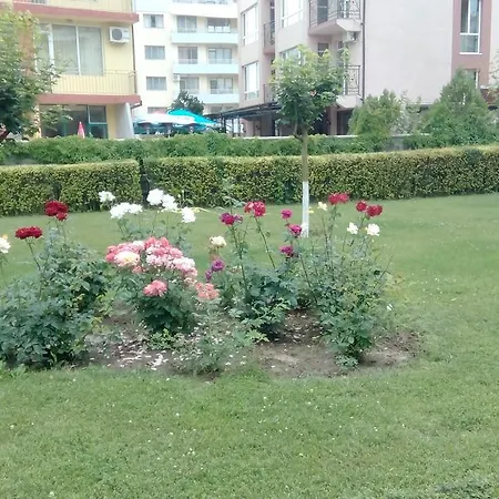 Apartament Bravo 5 Sunny *